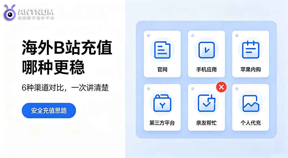 海外B站充值支持的充值渠道有哪些？哪几个平台比较靠谱？