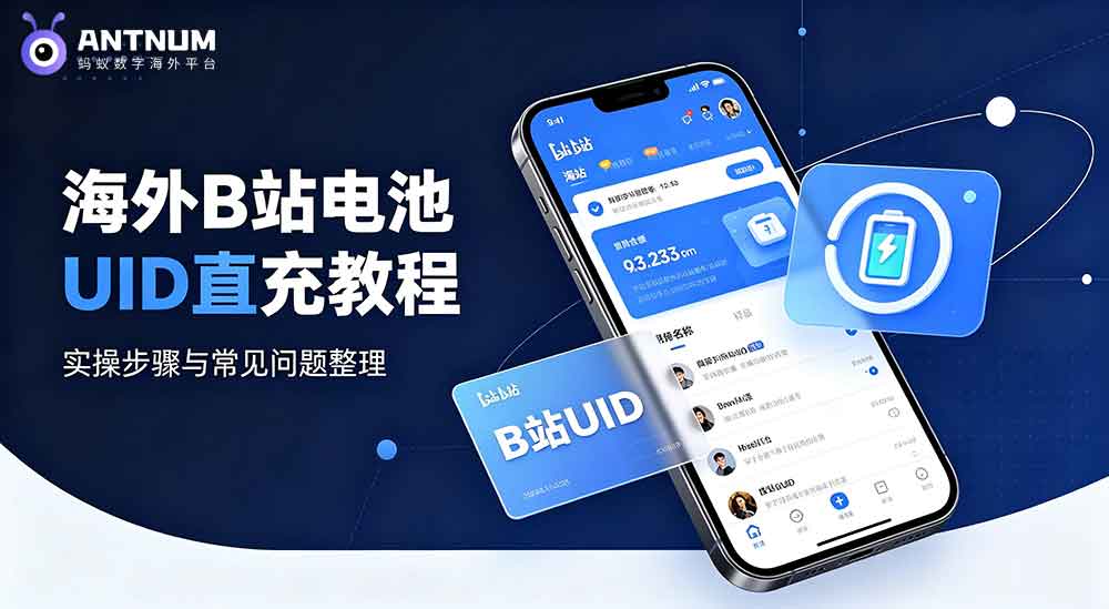 海外 B 站电池 UID 直充实操参考指南,新手一看就懂