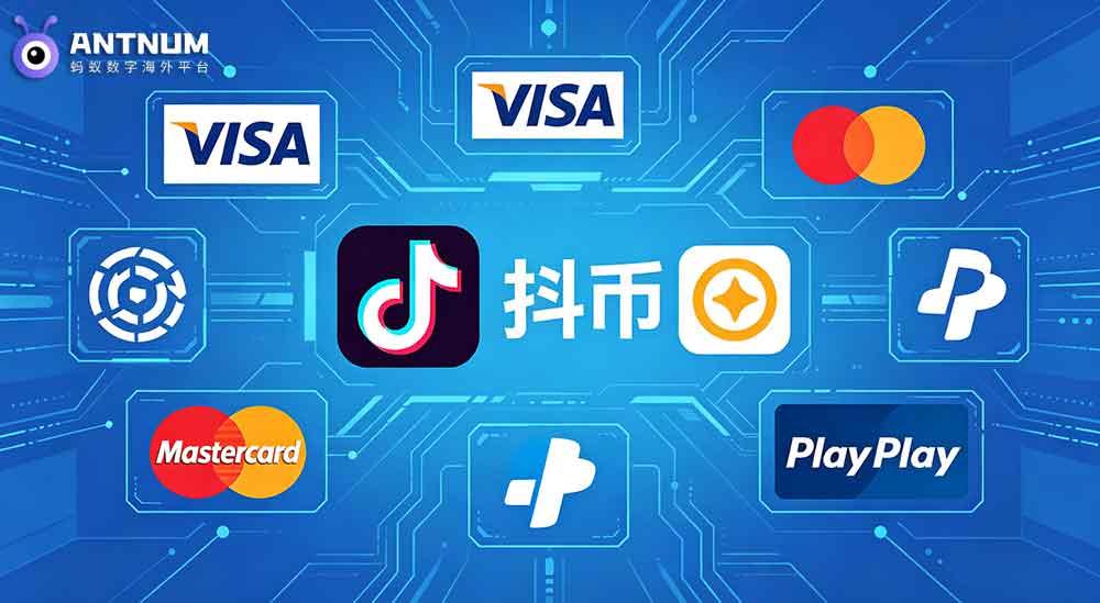 身在海外抖音储值,APP支持Visa/PayPal 付款吗？