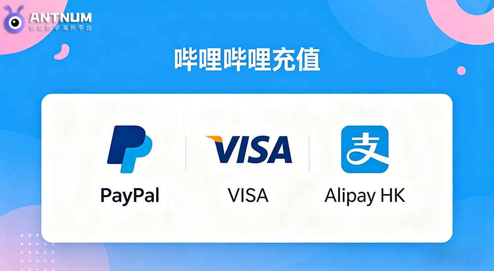 海外bilibili充值香港支持哪种支付方式|不支持哪些支付