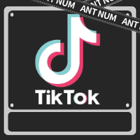 TikTok（国际版）